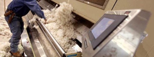 Ginning: Cotton Ginning, Process, Types, and Objectives