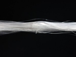 silk fiber production