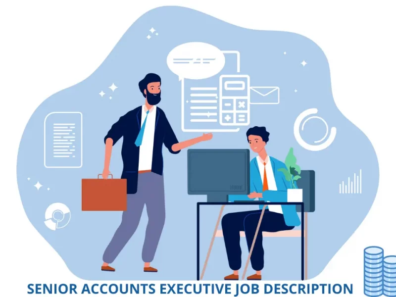 Senior Accounts Executive Job Description