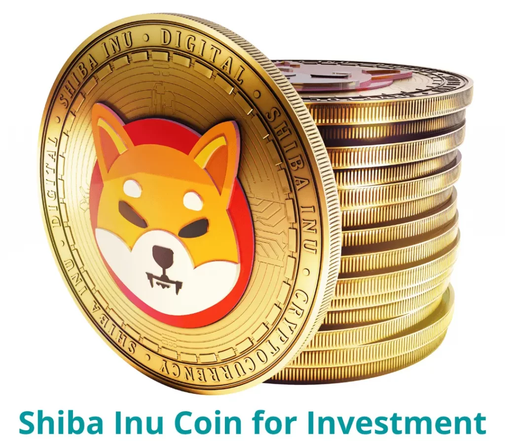 A Few Critical Insights About Shiba Inu for Investment