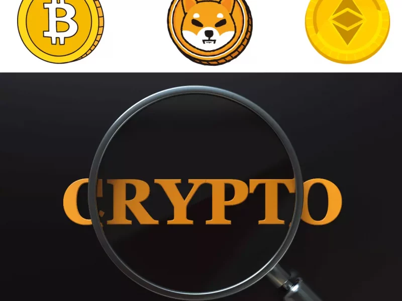 What Makes One Cryptocurrency More Popular Than Another