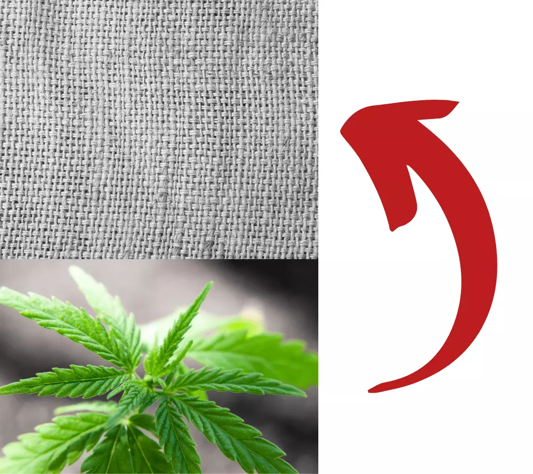 Things You Should Need to Know About Weed Fabric
