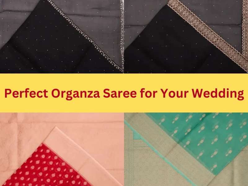 Perfect Organza Saree for Your Wedding