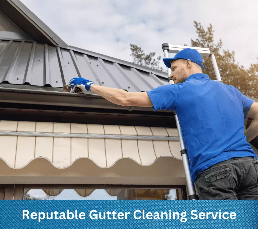 Looking for a reputable gutter cleaning service