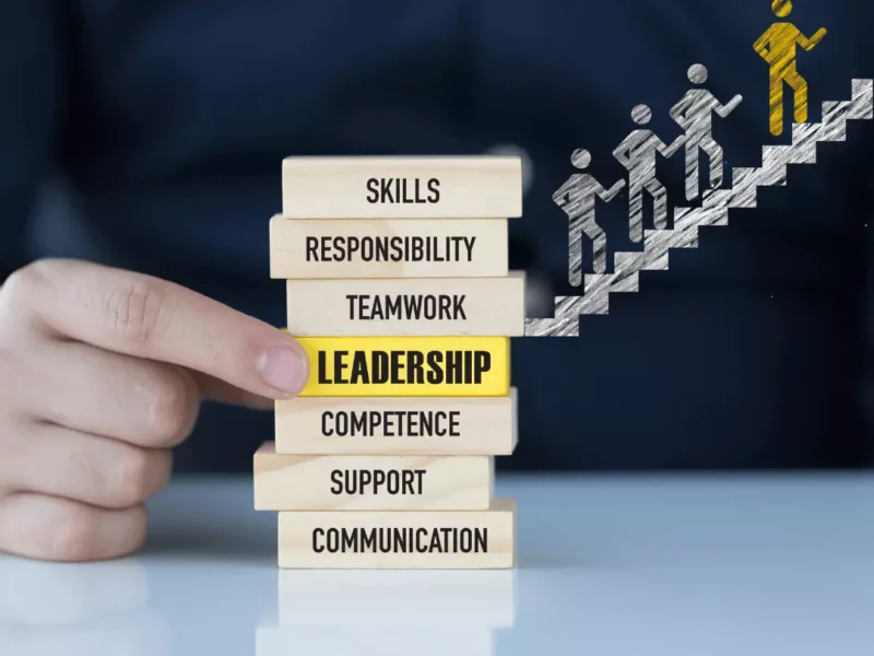 Leadership Development Consultants