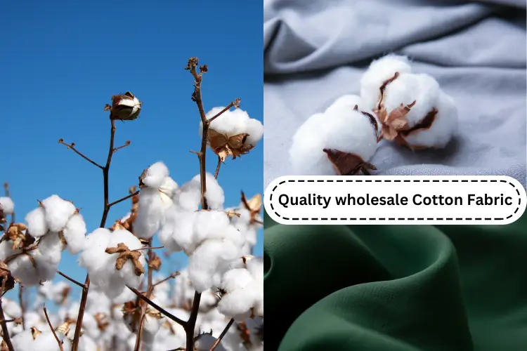 What is The Best Source For Quality wholesale Cotton Fabric?