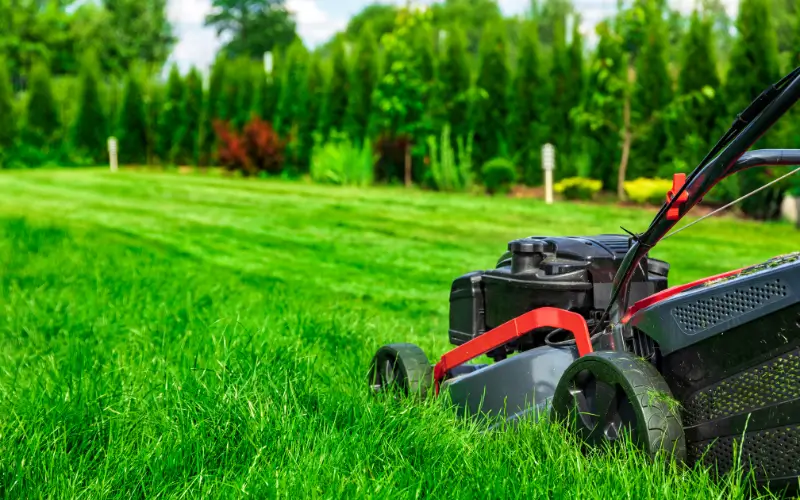 Weekend Lawn Care Without the Hassle