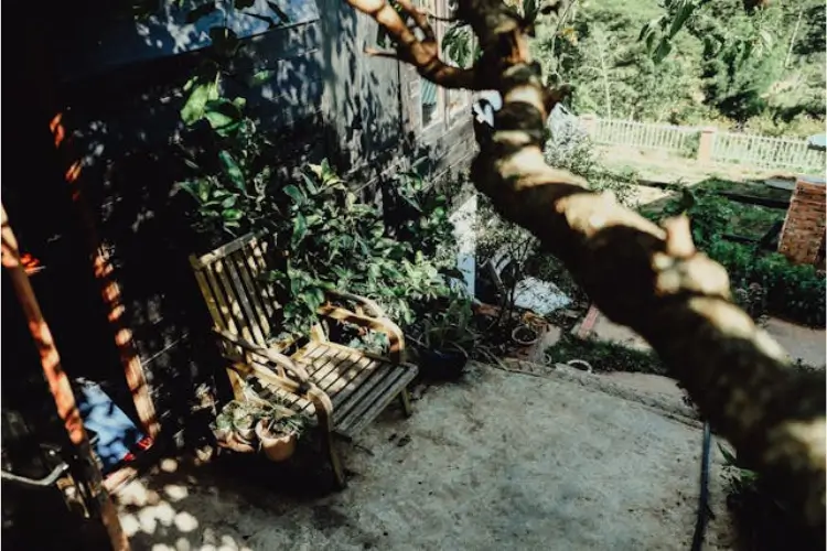 Have a Garden? Here’s 6 Ways to Make It Even Better