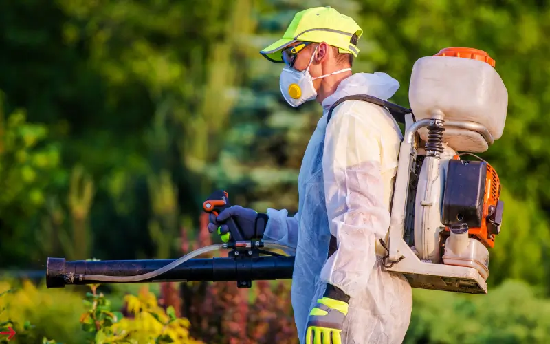 how to get rid of pests in your home