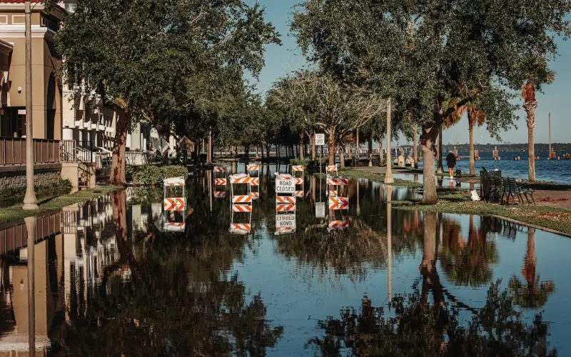 5 Critical Steps in the Water Damage Restoration Process